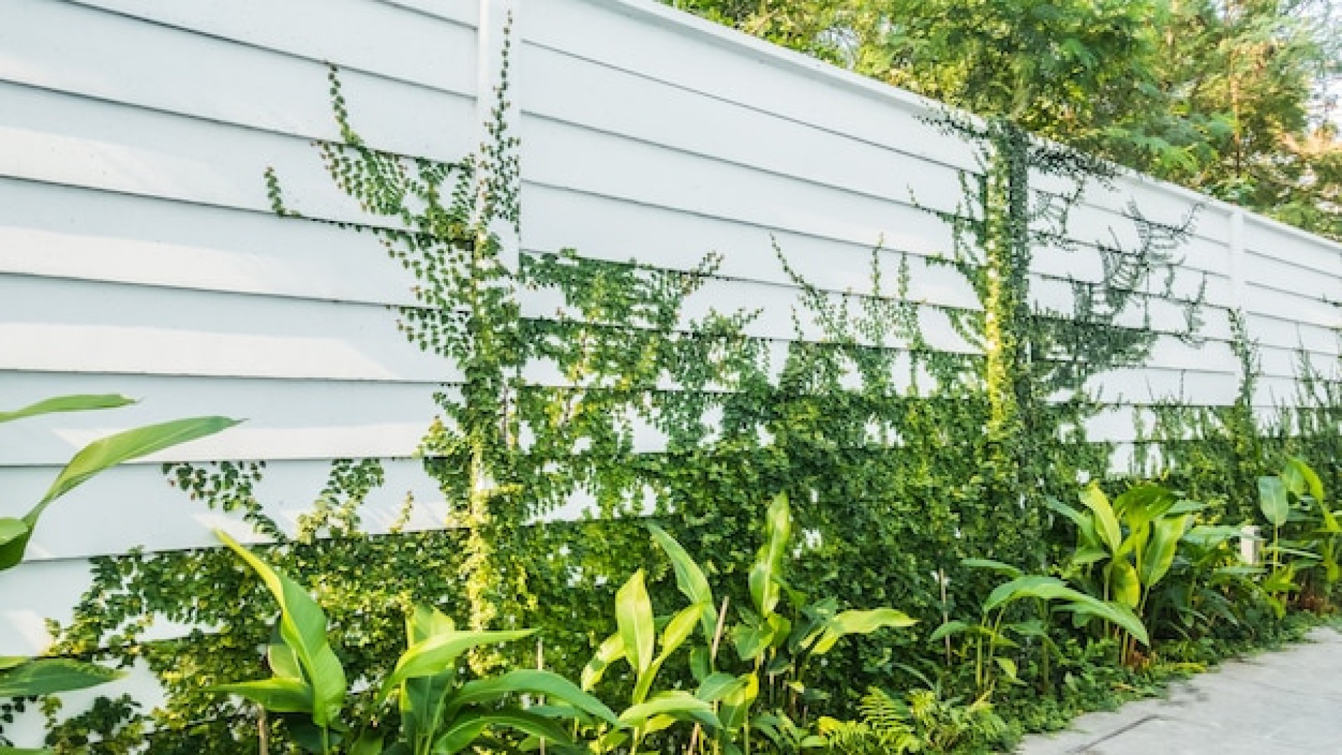 Pose d'une cloture sur 1000 m2