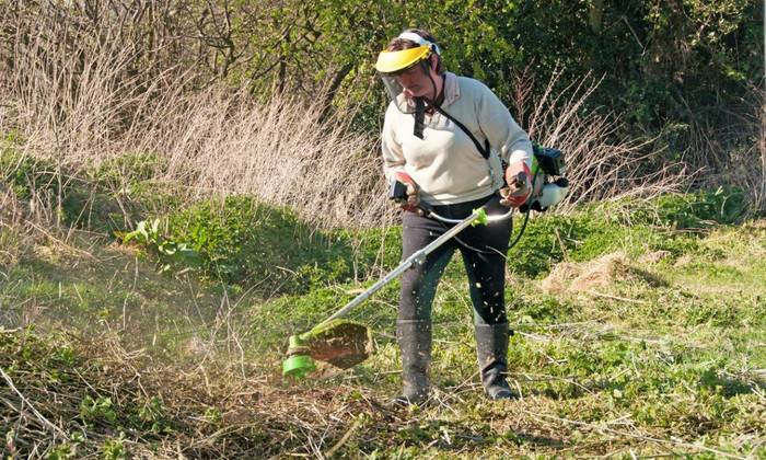 Débroussaillage d'un terrain